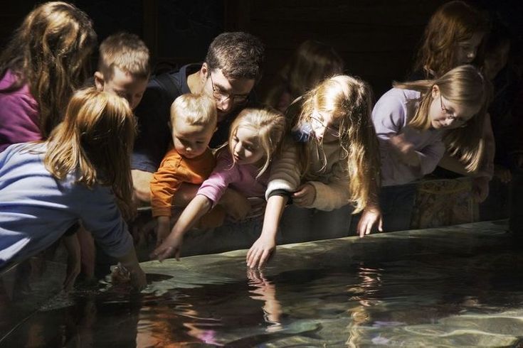 a group of people reaching for something in the water