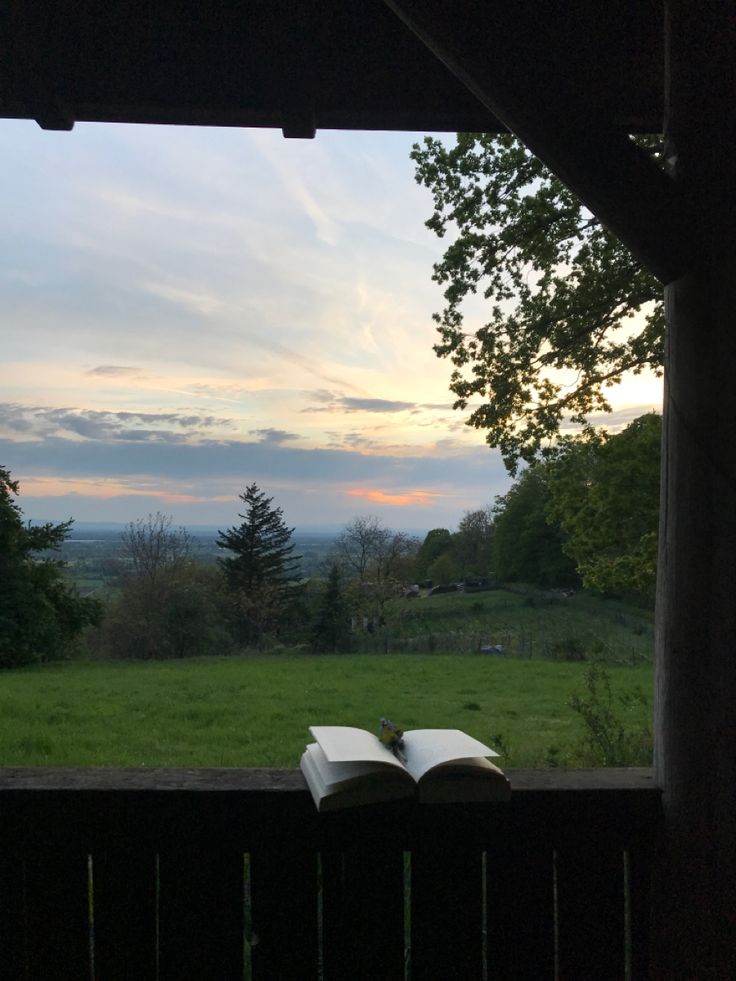 an open book sitting on top of a wooden bench next to a lush green field