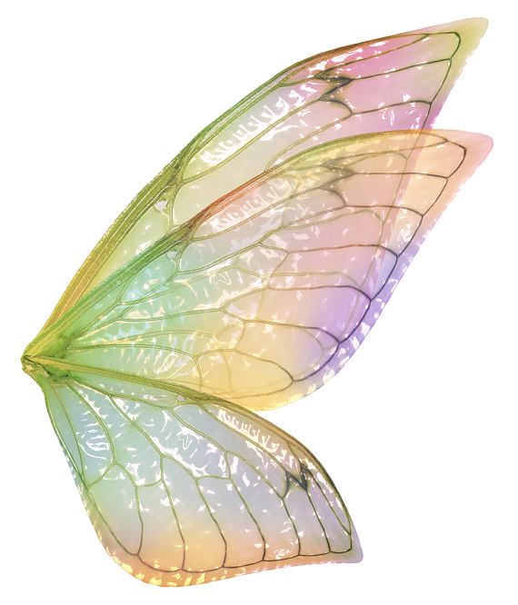 the wings of a butterfly on a white background