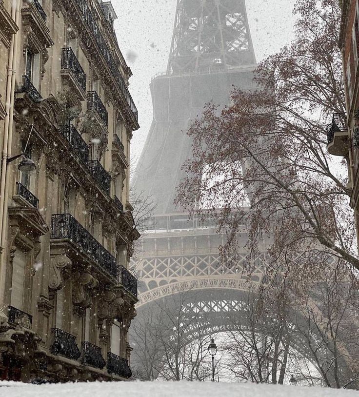 the eiffel tower is seen through the snow