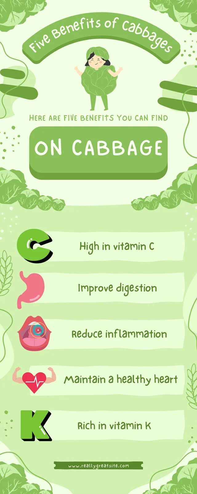 the benefits of cabbage info sheet