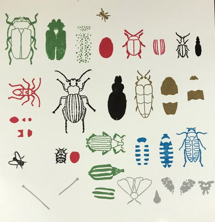 an assortment of different types of bugs on a white paper with black and red ink