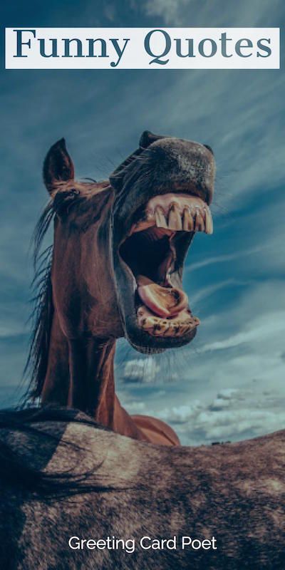 a horse with its mouth open and the words funny quotes on it