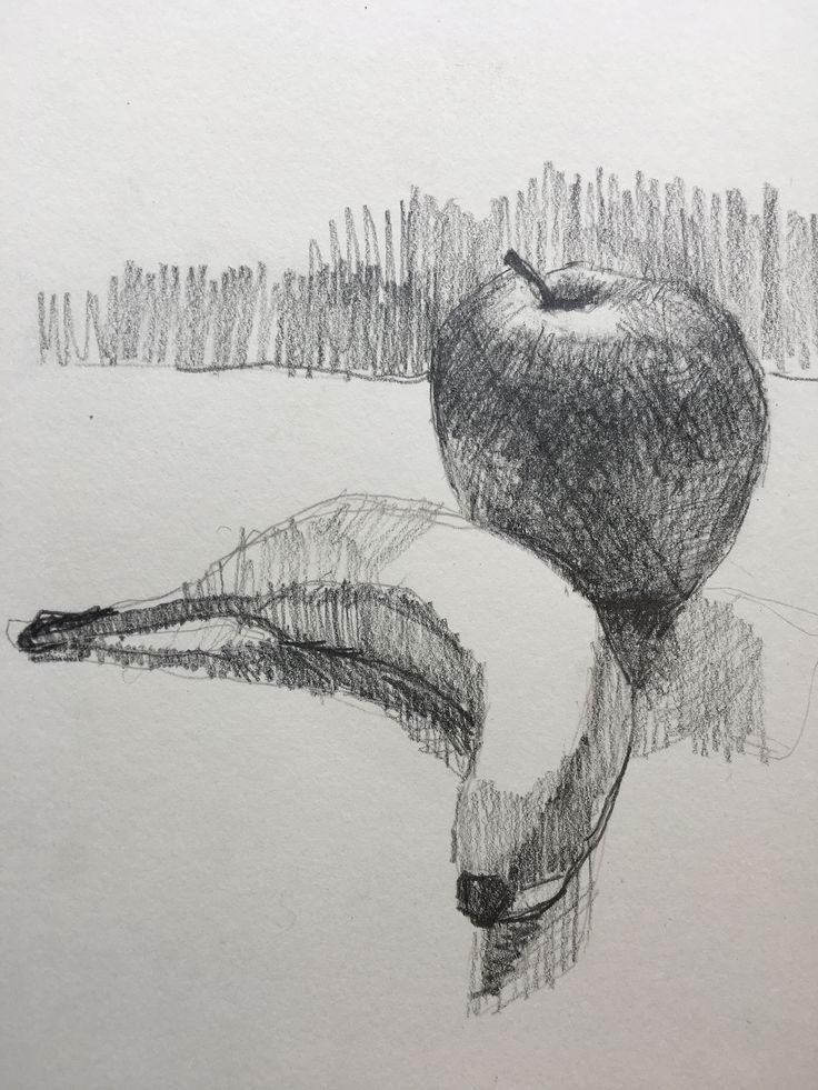 a pencil drawing of an apple laying on its side