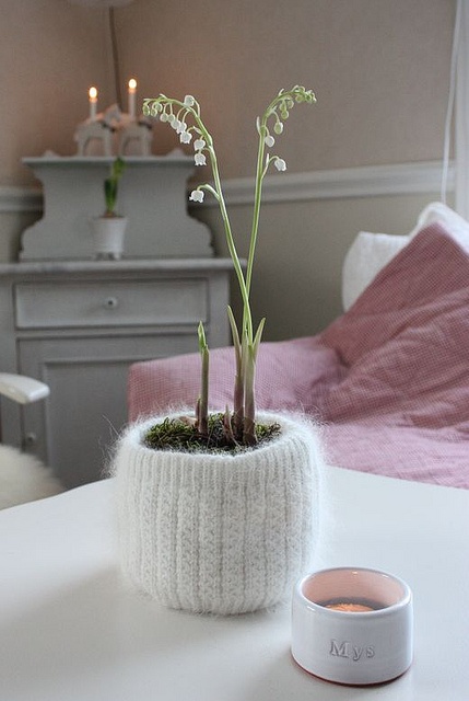 a small potted plant sitting on top of a white table