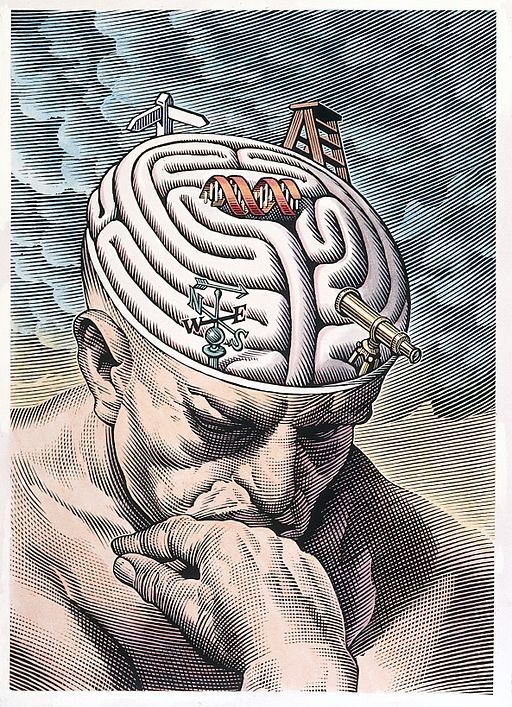 an image of a man with a brain maze on his head