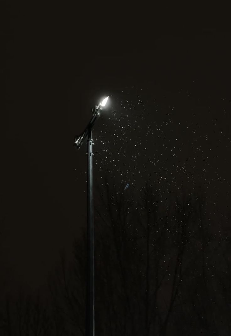 a street light that is lit up in the night sky with snow falling from it