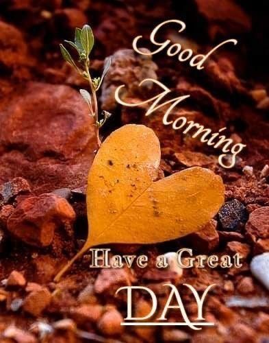 there is a heart shaped leaf on the ground with words good morning have a great day