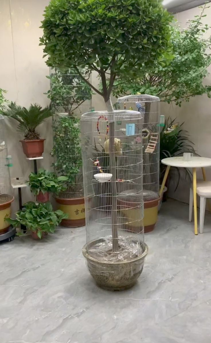 a birdcage filled with birds inside of a room next to potted plants