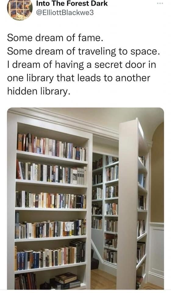 an open book shelf with books on it and the caption reads, some dream of fame some dream of traveling to space i dream of having a secret door in one library that leads to another hidden library