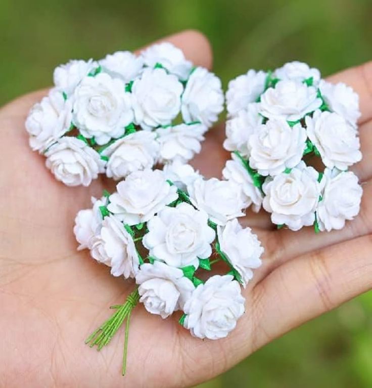 small white flowers are being held in someone's hand