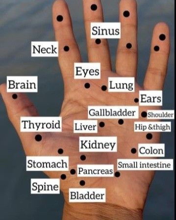 Hand Acupressure Points, Accupunture Points Acupuncture, Hand Pressure Points, Body Pressure Points, Healing Reflexology, Reflexology Points, Acupressure Point, Pressure Point Therapy, Hand Reflexology