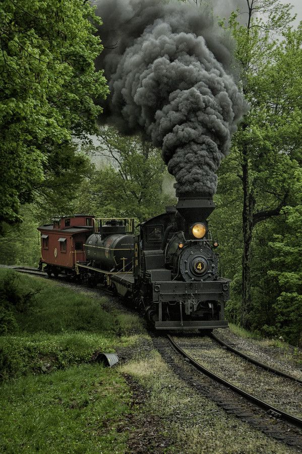 an old fashioned steam train traveling through the woods