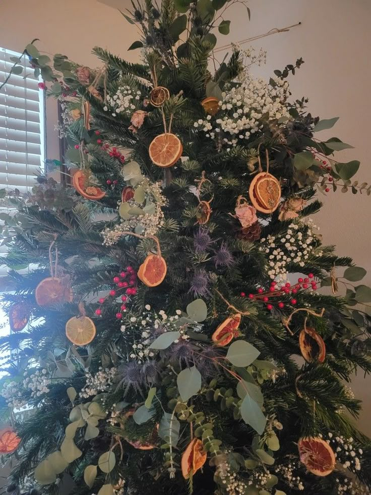 a christmas tree decorated with dried fruit and greenery