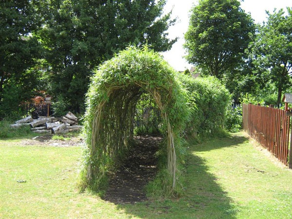 an outdoor area with grass and trees in the background