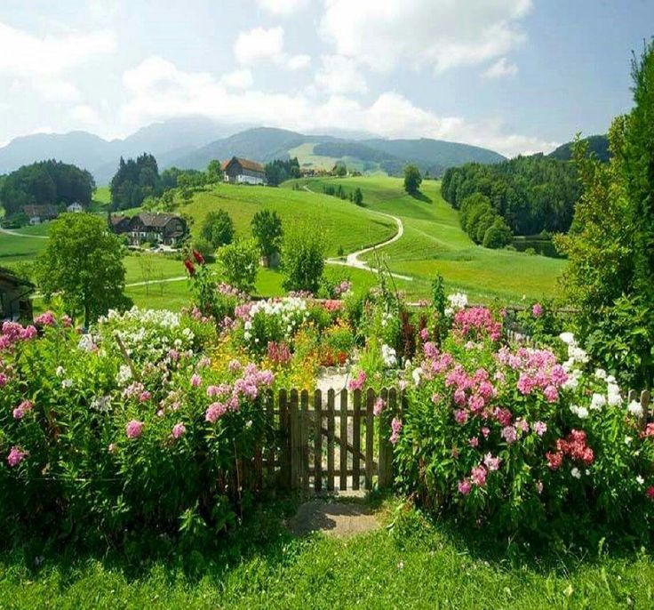 the flowers are blooming all over the green field and hills in the distance,