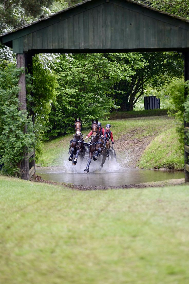 three people riding horses in the water under a covered area with trees and grass on both sides