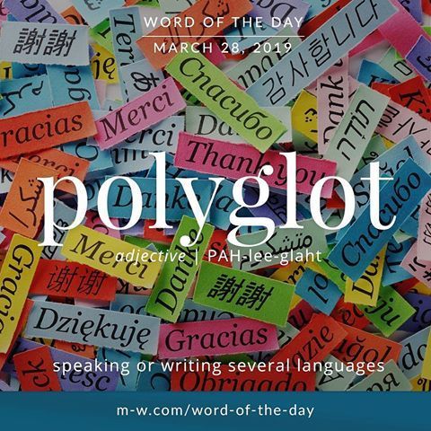 the words polyglt are written in many different colors and shapes, including letters