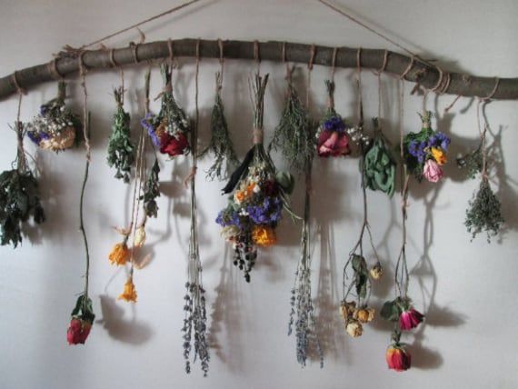 a bunch of dried flowers hanging from a branch on the wall next to a white wall