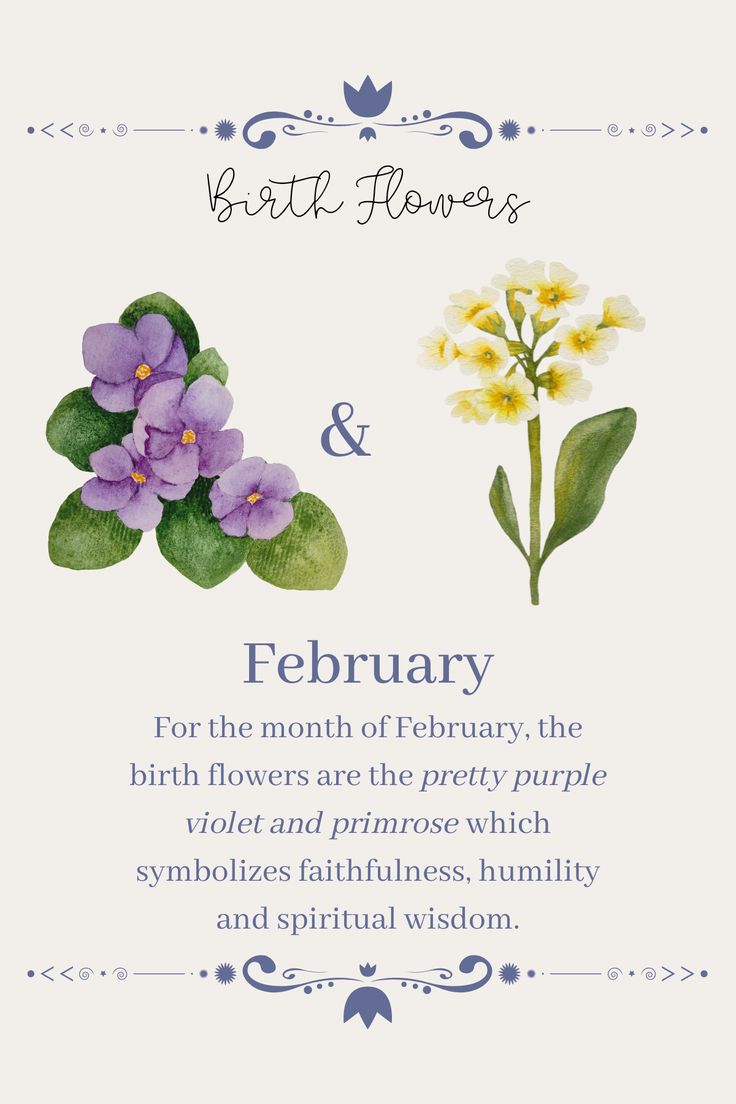 a card with flowers on it that says birth flowers and the month of february,