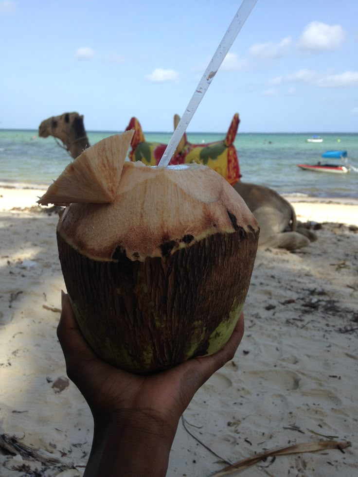 a person holding up a coconut drink on the beach