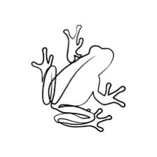 a frog sitting on top of a white surface with black lines in the shape of it's legs