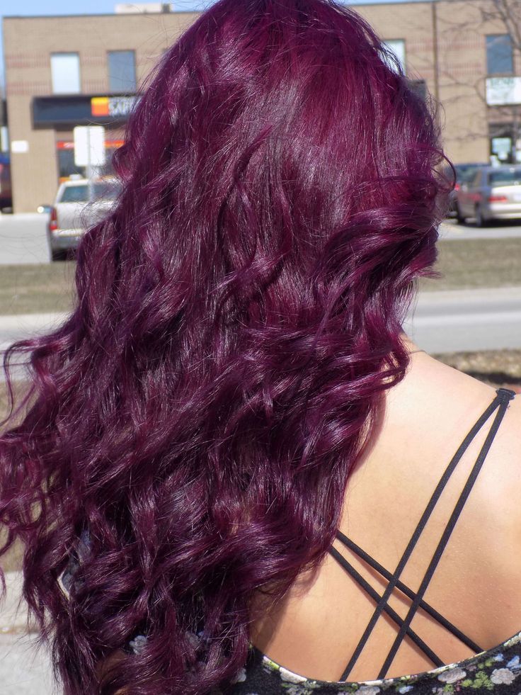 Plum Curly Hair, Warm Purple Hair, Color On Dark Hair, Berry Pink Hair, Reddish Purple Hair, Raspberry Hair Color, Deep Burgundy Hair Color, Purple Red Hair, Different Hair Color Ideas