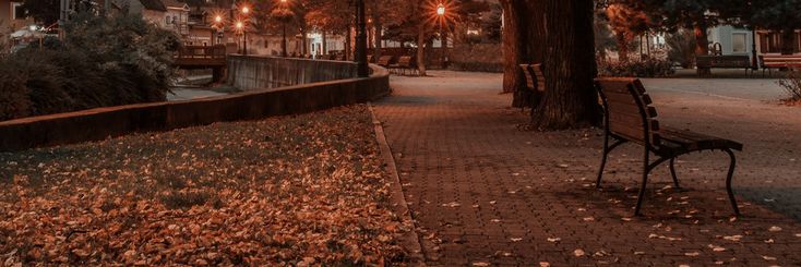 a park bench sitting on the side of a road next to a tree filled with leaves