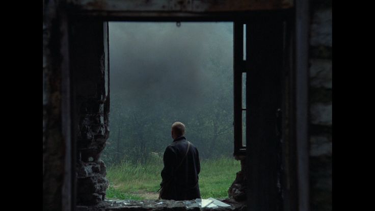 a man standing in an open doorway looking out into the woods