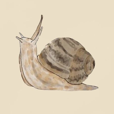 a drawing of a snail on a beige background