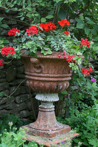 an old urn with red flowers growing out of it