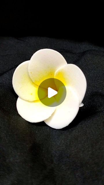 a white flower sitting on top of a black cloth covered in light yellow and white petals