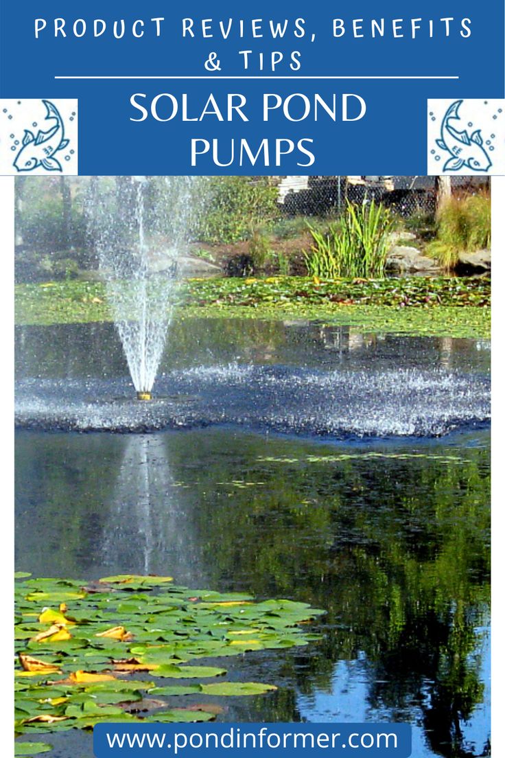 a pond with lily pads and water spouting from it's sides, in front of a blue sign that reads product review benefits & tips solar pond pumps