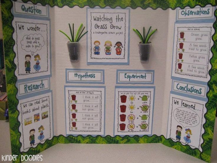 a bulletin board with plants and pictures on the front, along with words about plant life