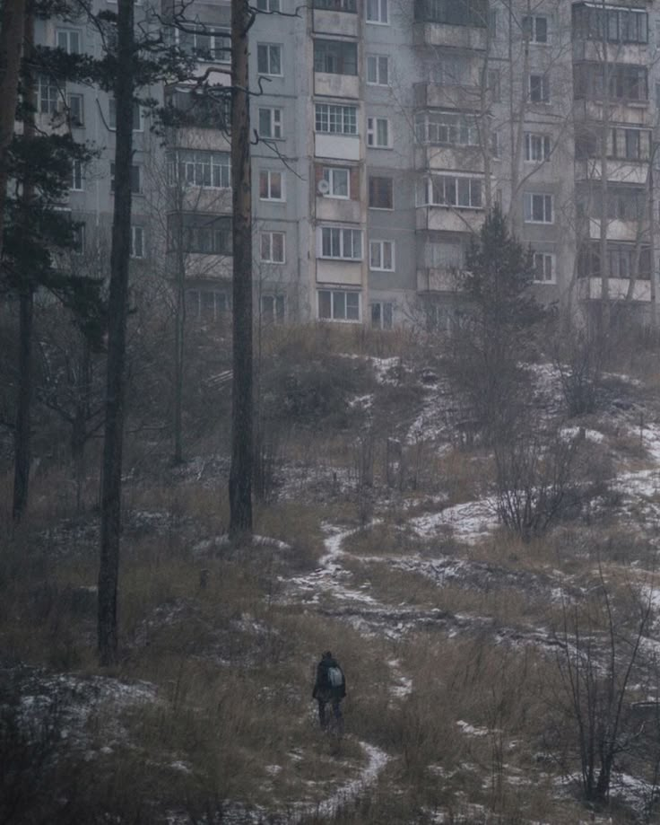 a person walking through the woods in front of tall buildings on a foggy day