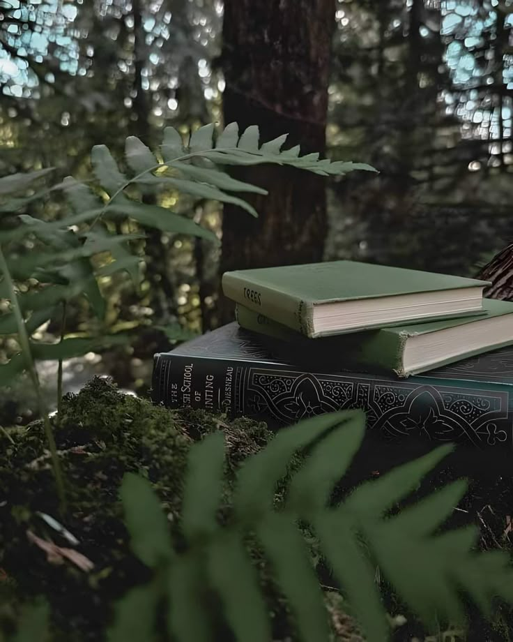 two books are sitting on top of each other in the middle of a forest with ferns