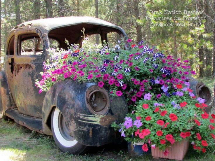 an old car with flowers on the hood and in the back is a planter full of pansies