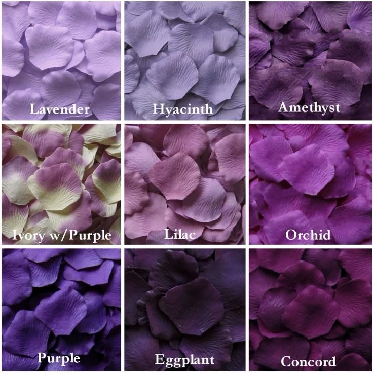 the facebook page for rose petals