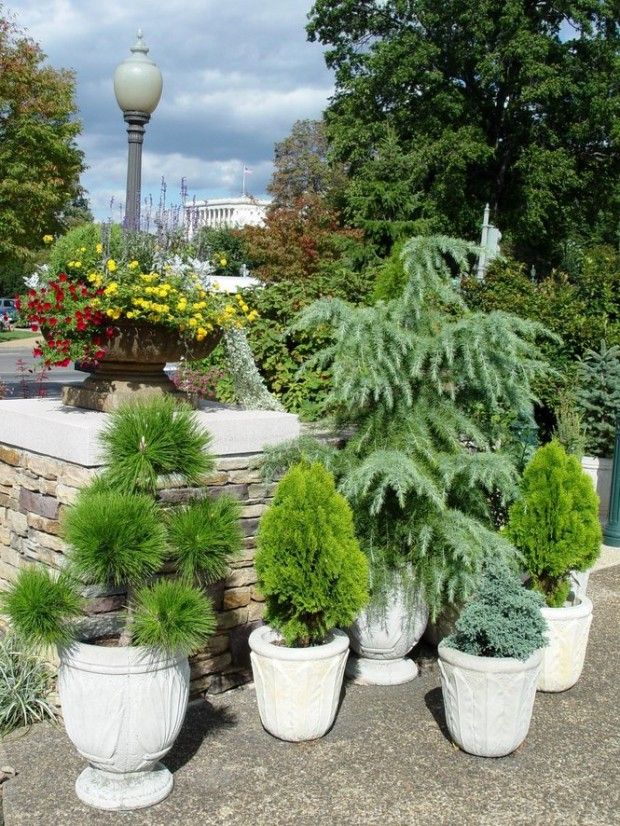 several potted plants are lined up in front of a stone wall and lamp post