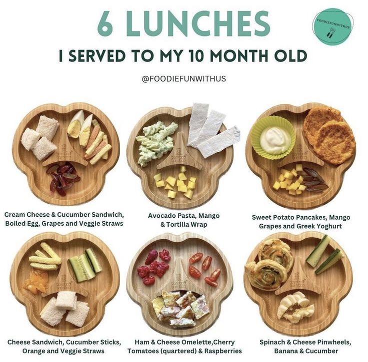 the six lunches i served to my 10 month old are shown on wooden plates