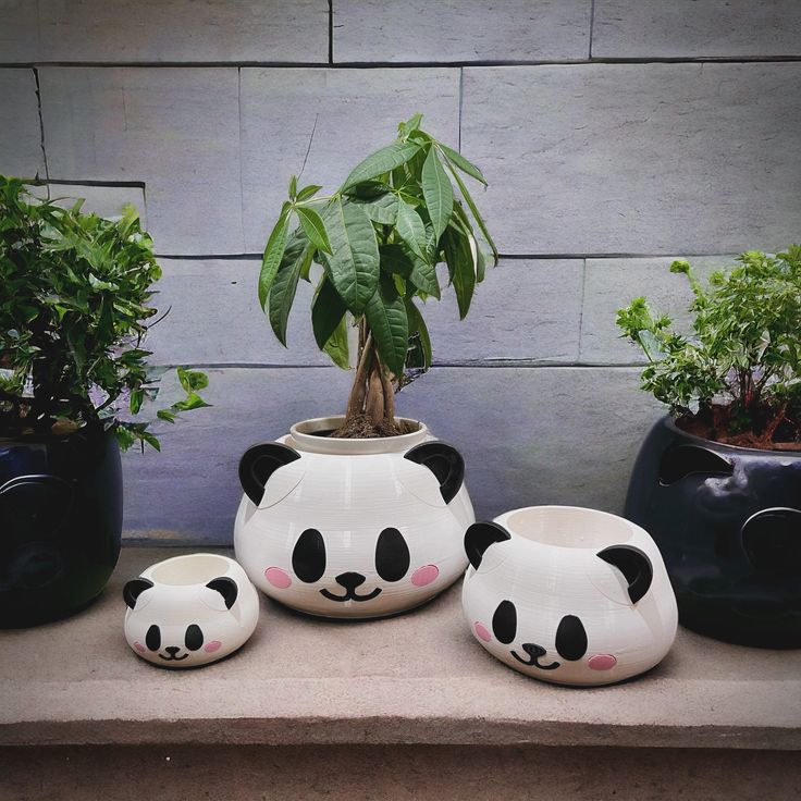 there are four panda planters on the table