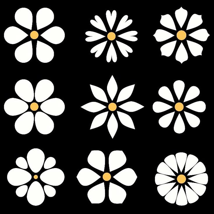 six white flowers with yellow centers on a black background, all in different shapes and sizes