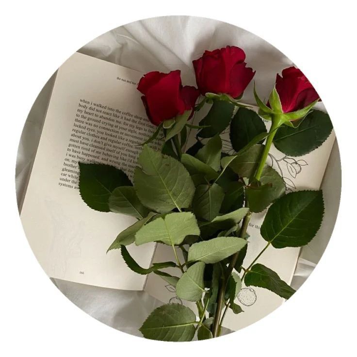 a bouquet of red roses sitting on top of an open book