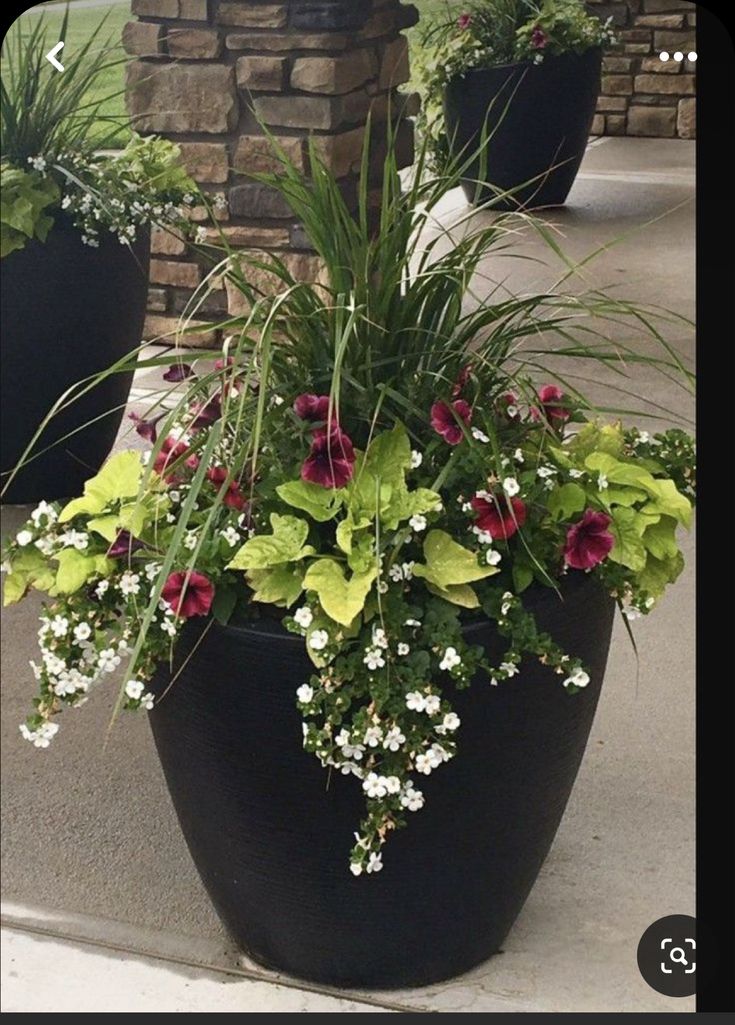 two large black planters filled with flowers and greenery