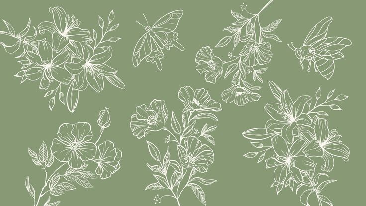 a bunch of flowers that are drawn in white ink on a green background with the words,