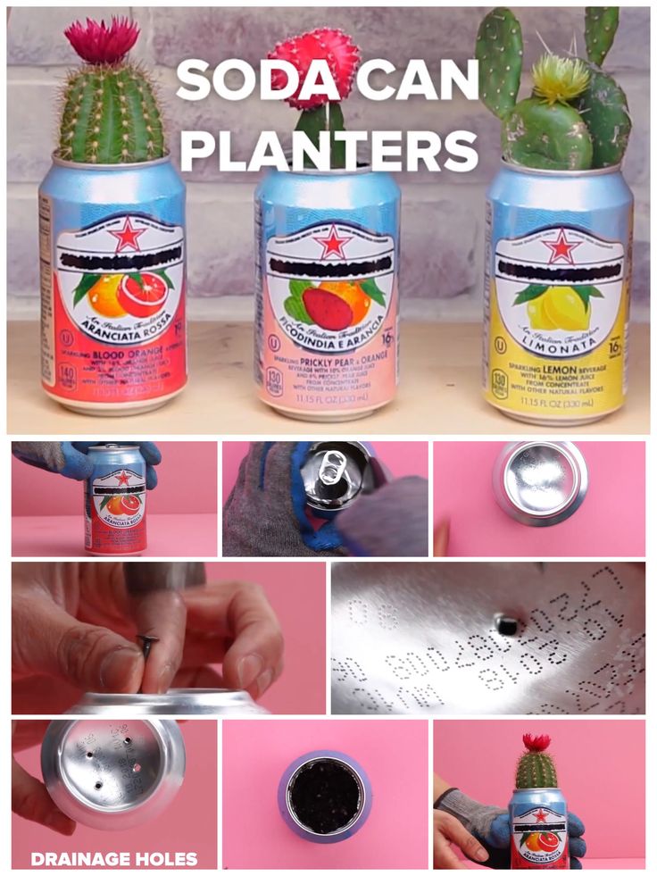 soda can planters are so easy to make