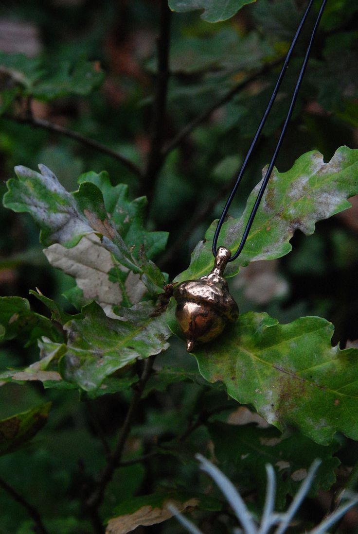 Red oak acorn pendant from the Brocéliande forest. Manufacturing: Red oak acorns collected during one of our visits to Brittany (Forêt de Brocéliande) serve as models for me to create the sand molds into which I pour bronze or brass. Everything is entirely handmade and in small batches in my workshop. The brass is recycled (it comes from jewelry workshop scraps) Dimensions: There are different models with sometimes several parts. 1mm adjustable black cotton cord Matter : Recycled brass (jeweller Oak Acorn, Acorn Pendant, Jewelry Workshop, Brass Jewelry, Red Oak, Cotton Cord, Clothing Ideas, Small Batches, Pendant Necklaces