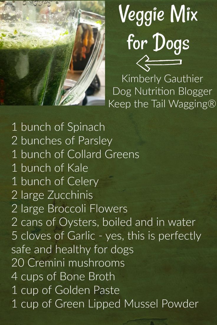 a green smoothie recipe for dogs