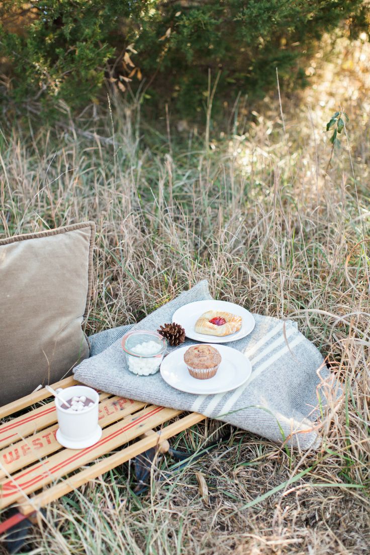 an outdoor picnic with food and drinks on the ground next to a blanket in tall grass