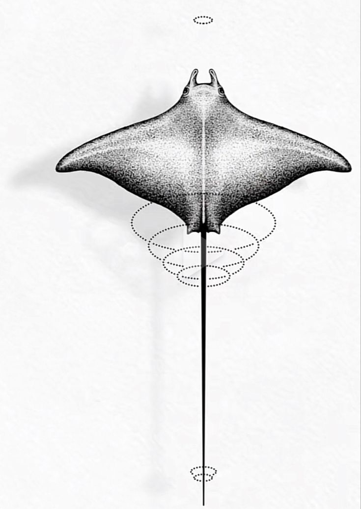 a drawing of a manta ray flying through the air with circles on it's tail